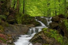 BIESZCZADY-15