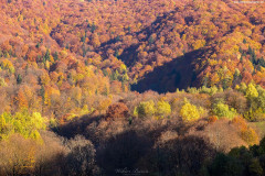 BIESZCZADY-5