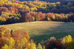 BIESZCZADY-6
