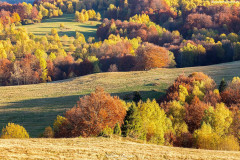 BIESZCZADY-8